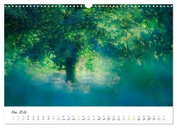 Produktbild: In der Welt der B&auml;ume (Wandkalender 2026 DIN A3 quer), CALVENDO Monatskalender