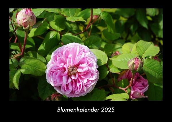 Blumenkalender 2025 Fotokalender DIN A3