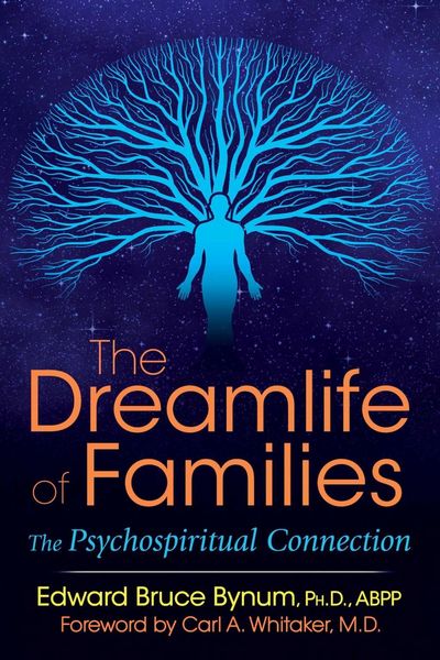 Produktbild: The Dreamlife of Families