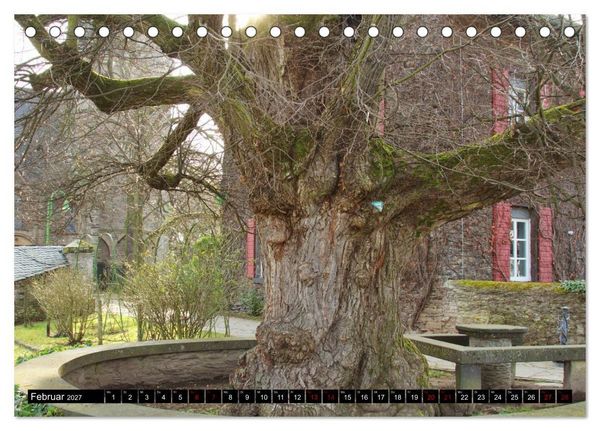Produktbild: Dorflinden (Tischkalender 2027 DIN A5 quer), CALVENDO Monatskalender