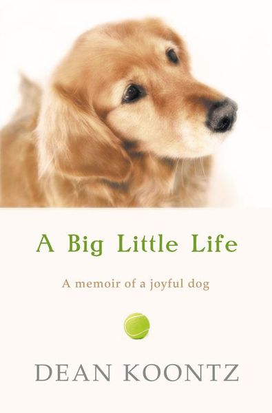 Produktbild: A Big Little Life