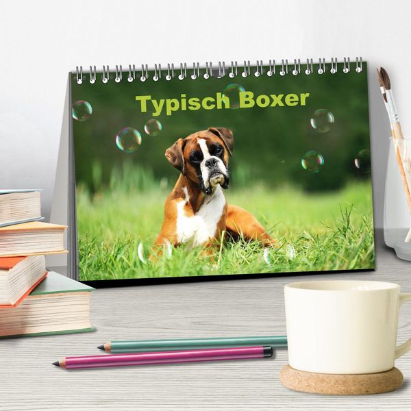 Produktbild: Typisch Boxer (Tischkalender 2026 DIN A5 quer), CALVENDO Monatskalender