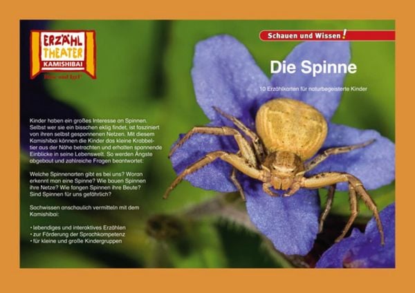 Produktbild: Die Spinne / Kamishibai Bildkarten
