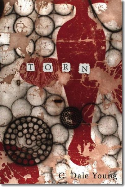 Produktbild: Torn