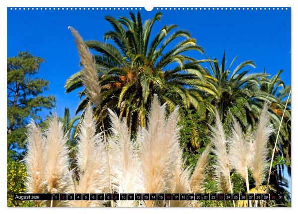 Produktbild: Zauberhafte Riviera - Die Hanbury G&auml;rten (hochwertiger Premium Wandkalender 2026 DIN A2 quer), Kunstdruck in Hochglanz