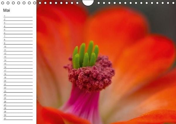 Produktbild: Ich denk an Dich ... Pers&ouml;nlicher Terminkalender (Wandkalender immerw&auml;hrend DIN A4 quer)