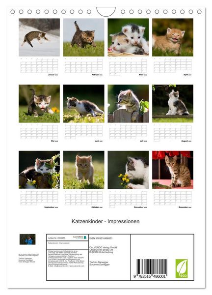 Produktbild: Katzenkinder - Impressionen (Wandkalender 2026 DIN A4 hoch), CALVENDO Monatskalender
