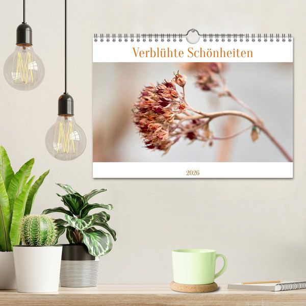 Produktbild: Verbl&uuml;hte Sch&ouml;nheiten (Wandkalender 2026 DIN A4 quer), CALVENDO Monatskalender