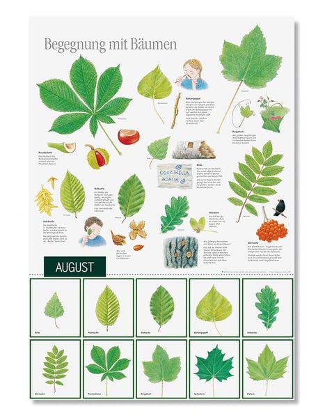 Produktbild: Natur erleben durch das Jahr - 2
