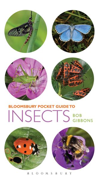 Produktbild: Pocket Guide to Insects