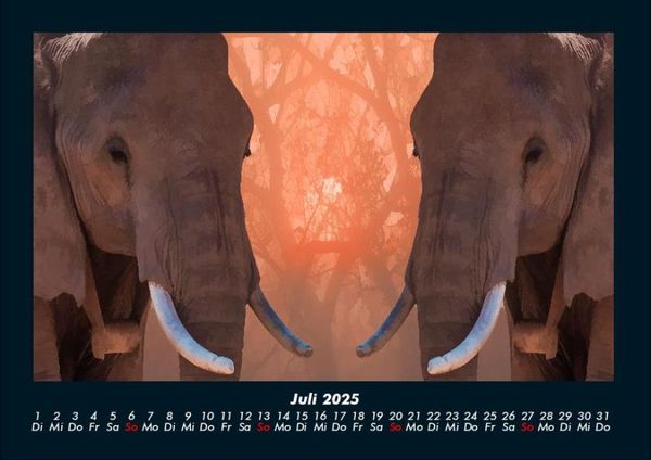 Produktbild: Welt der Tiere 2025 Fotokalender DIN A4