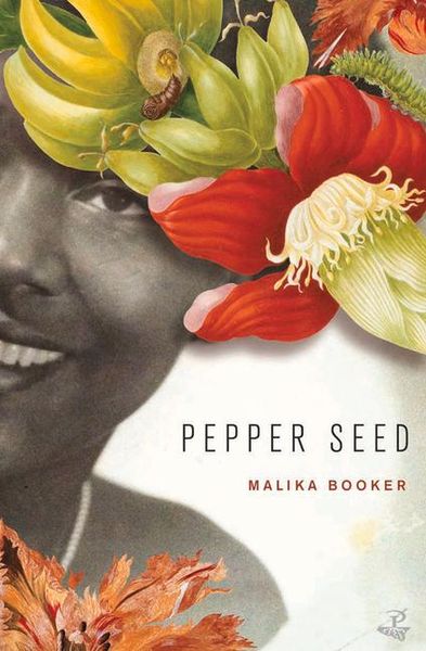 Produktbild: Pepper Seed