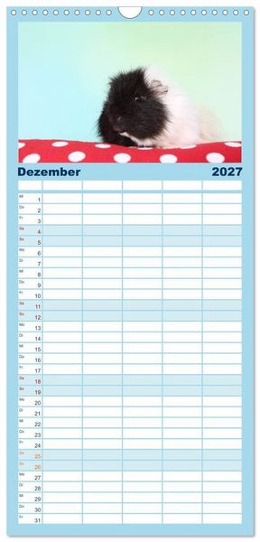Produktbild: Familienplaner 2027 - Niedliche Meerschweinchen mit 5 Spalten (Wandkalender, 21 x 45 cm) CALVENDO