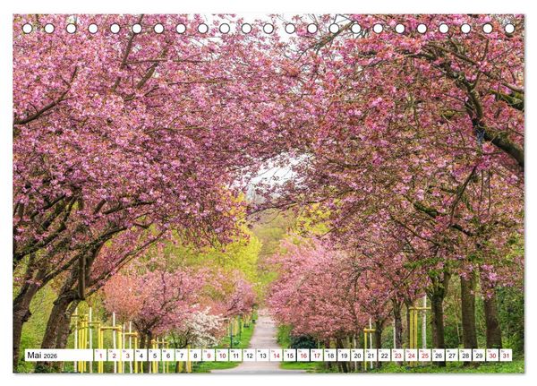 Produktbild: K&ouml;ln - Facetten einer Stadt (Tischkalender 2026 DIN A5 quer), CALVENDO Monatskalender