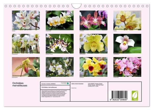 Produktbild: Orchid&eacute;es merveilleuses (Calendrier mural 2026 DIN A4 vertical), CALVENDO calendrier mensuel