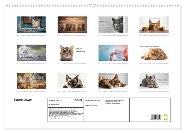 Produktbild: Katzenpower (Wandkalender 2026 DIN A2 quer), CALVENDO Monatskalender
