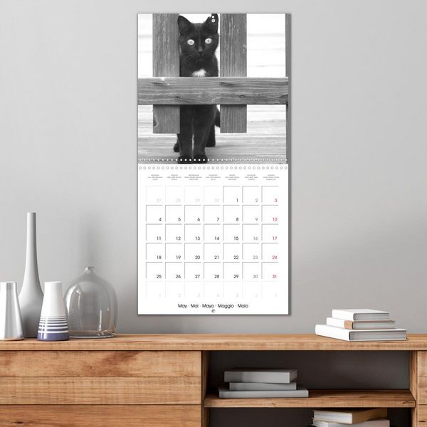 Produktbild: Black and white cat whispers (Wall Calendar 2026 12 &times; 12 Inch) CALVENDO 12 Month Wall Calendar