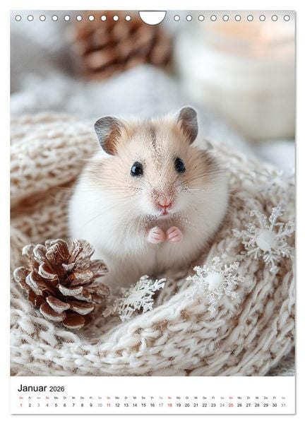 Produktbild: Hamster - s&uuml;&szlig;e Tiere zum Verlieben (Wandkalender 2026 DIN A4 hoch), CALVENDO Monatskalender