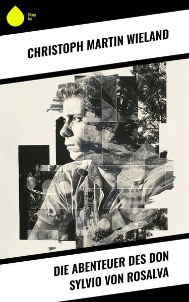Produktbild: Die Abenteuer des Don Sylvio von Rosalva