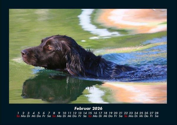 Produktbild: Tage am See 2026 Fotokalender DIN A4