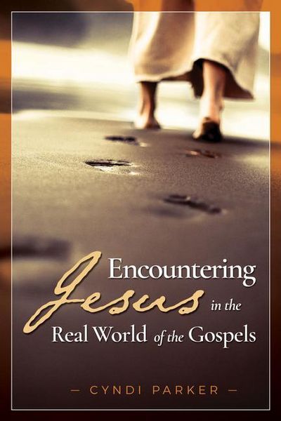 Produktbild: Encountering Jesus in the Real World of the Gospels