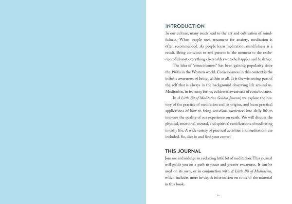 Produktbild: A Little Bit of Meditation Guided Journal