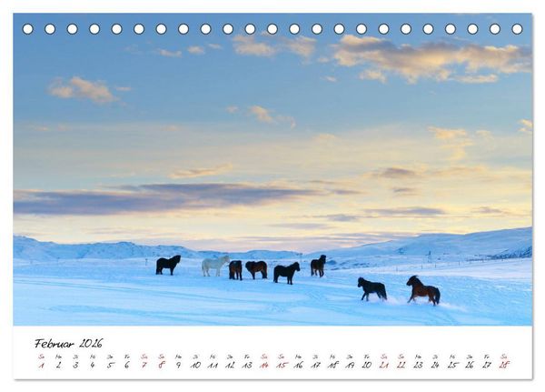 Produktbild: Islandpferde take it Isi (Tischkalender 2026 DIN A5 quer), CALVENDO Monatskalender