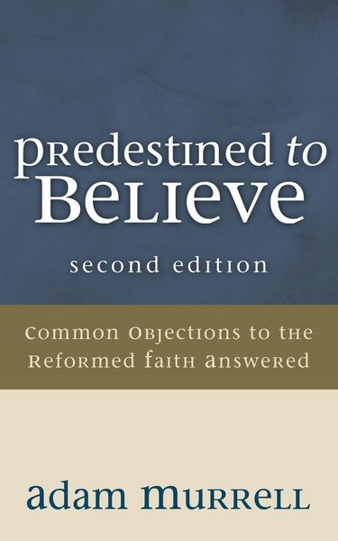 Produktbild: Predestined to Believe