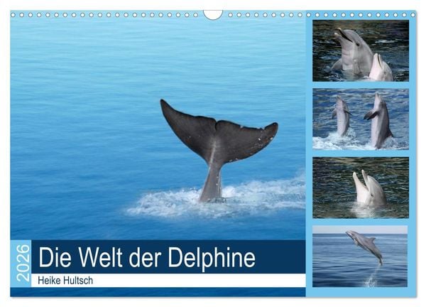 Produktbild: Die Welt der Delphine (Wandkalender 2026 DIN A3 quer), CALVENDO Monatskalender