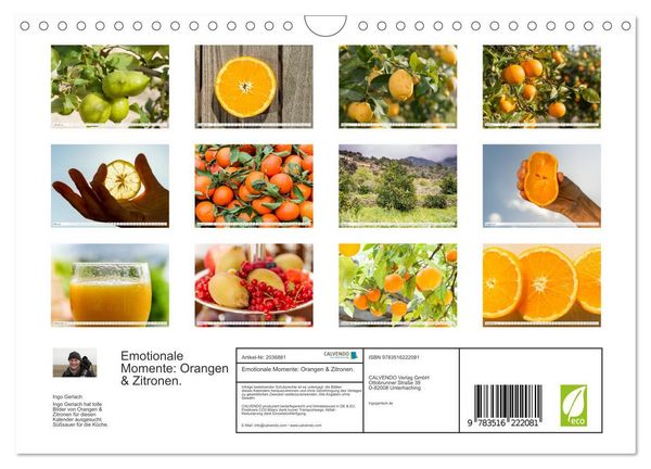 Produktbild: Emotionale Momente: Orangen & Zitronen. (Wandkalender 2026 DIN A4 quer), CALVENDO Monatskalender