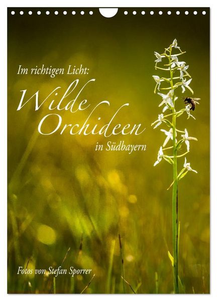 Produktbild: Im richtigen Licht: Wilde Orchideen in S&uuml;dbayern (Wandkalender 2027 DIN A4 hoch), CALVENDO Monatskalender