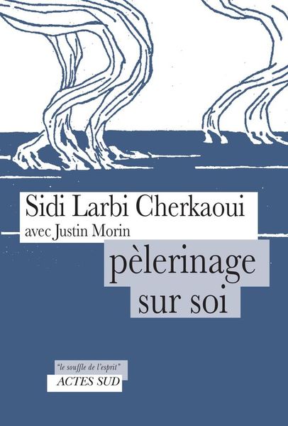 Produktbild: P&egrave;lerinage sur soi