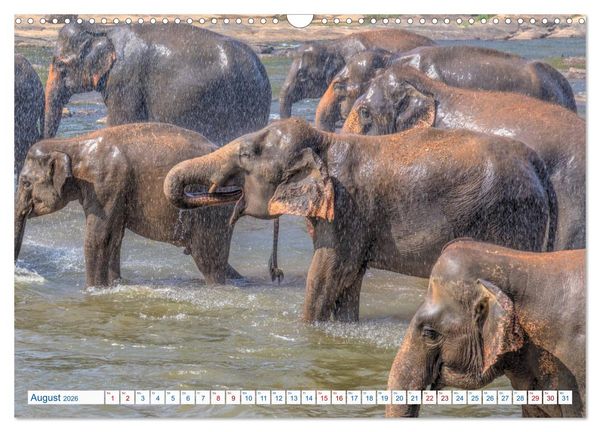 Produktbild: Sri Lanka, tropisches Inselparadies (Wandkalender 2026 DIN A3 quer), CALVENDO Monatskalender