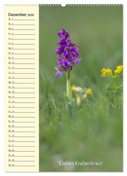 Produktbild: Wildwachsende Orchideen in Bayern (Wandkalender 2026 DIN A2 hoch), CALVENDO Monatskalender