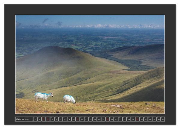 Produktbild: IRLAND - Insel der gl&uuml;cklichen Schafe (Tischkalender 2026 DIN A5 quer), CALVENDO Monatskalender
