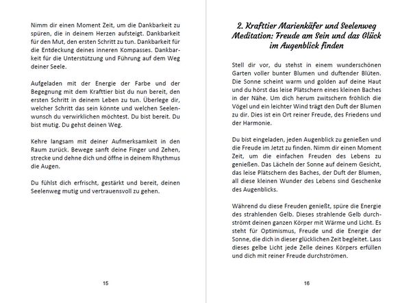 Produktbild: 52 Seelenweg und Krafttier Meditationen