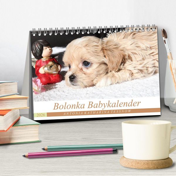 Produktbild: Bolonka Babykalender 2026 (Tischkalender 2026 DIN A5 quer), CALVENDO Monatskalender