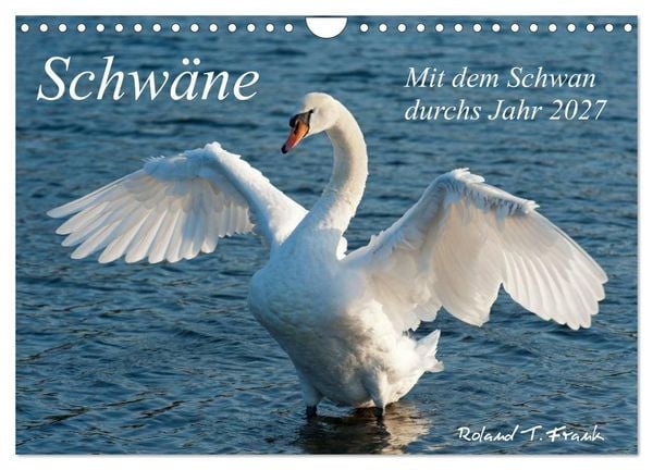 Produktbild: Mit dem Schwan durchs Jahr 2027 (Wandkalender 2027 DIN A4 quer), CALVENDO Monatskalender