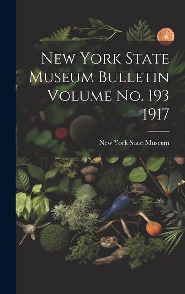 Produktbild: New York State Museum Bulletin Volume no. 193 1917