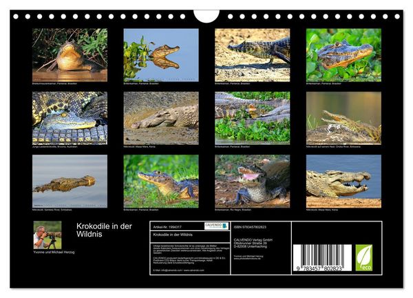 Produktbild: Krokodile in der Wildnis (Wandkalender 2026 DIN A4 quer), CALVENDO Monatskalender