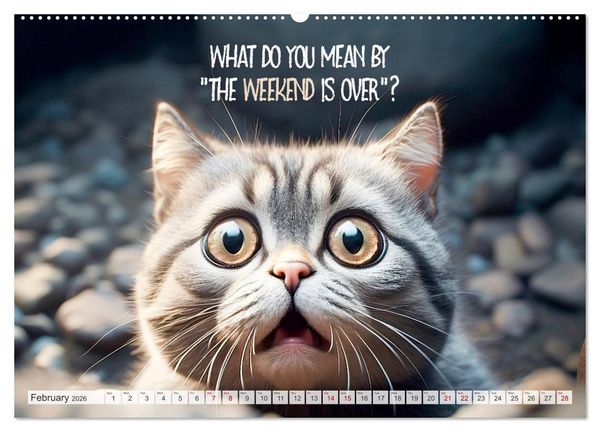 Produktbild: WITTY CATS Cool sayings (High Quality Premium Wall Calendar 2026 DIN A2 landscape),CALVENDO 12 Month Wall Calendar