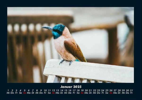 Produktbild: Tierkalender 2025 Fotokalender DIN A4