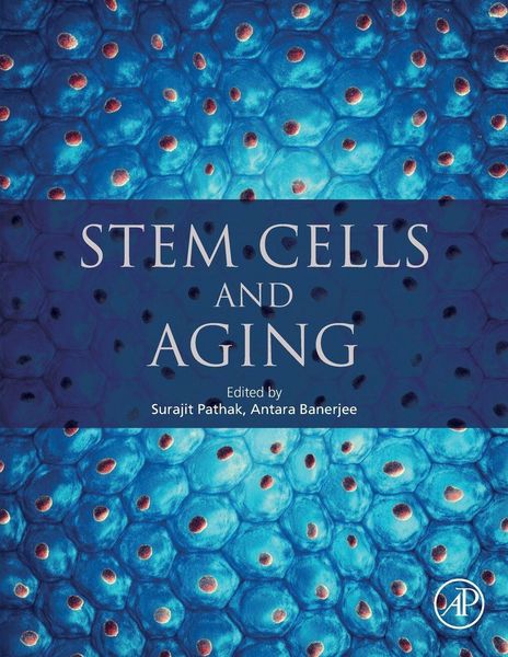 Produktbild: Stem Cells and Aging