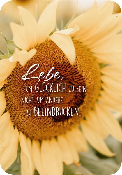 Produktbild: Weisheiten f&uuml;r die Seele