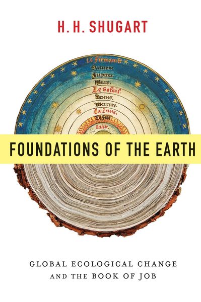 Produktbild: Foundations of the Earth