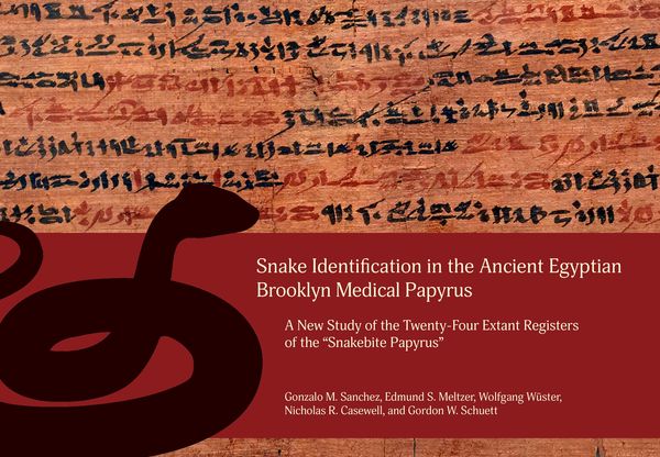 Produktbild: Snake Identification in the Ancient Egyptian Brooklyn Medical Papyrus