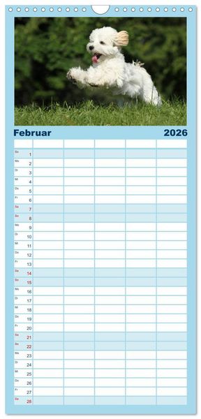 Produktbild: Familienplaner 2026 - Welpen - Puppies mit 5 Spalten (Wandkalender, 21 x 45 cm) CALVENDO