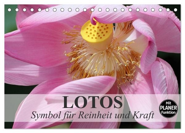 Produktbild: Lotos. Symbol f&uuml;r Reinheit und Kraft (Tischkalender 2026 DIN A5 quer), CALVENDO Monatskalender