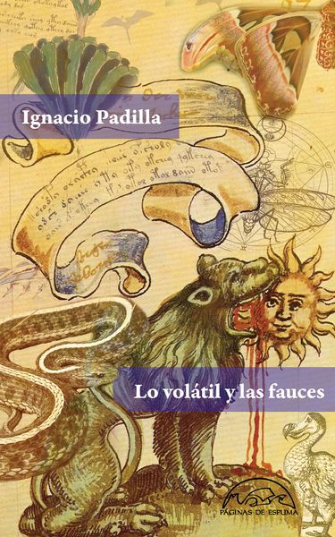 Produktbild: Lo vol&aacute;til y las fauces