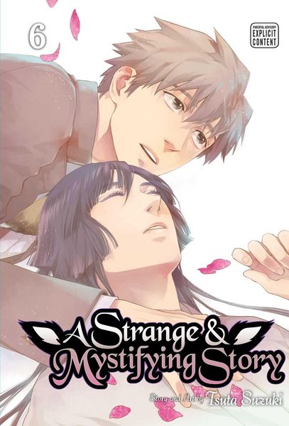 Produktbild: A Strange & Mystifying Story, Vol. 6